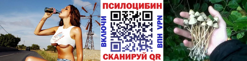 купить наркотик  Приволжск  Галлюциногенные грибы GOLDEN TEACHER 